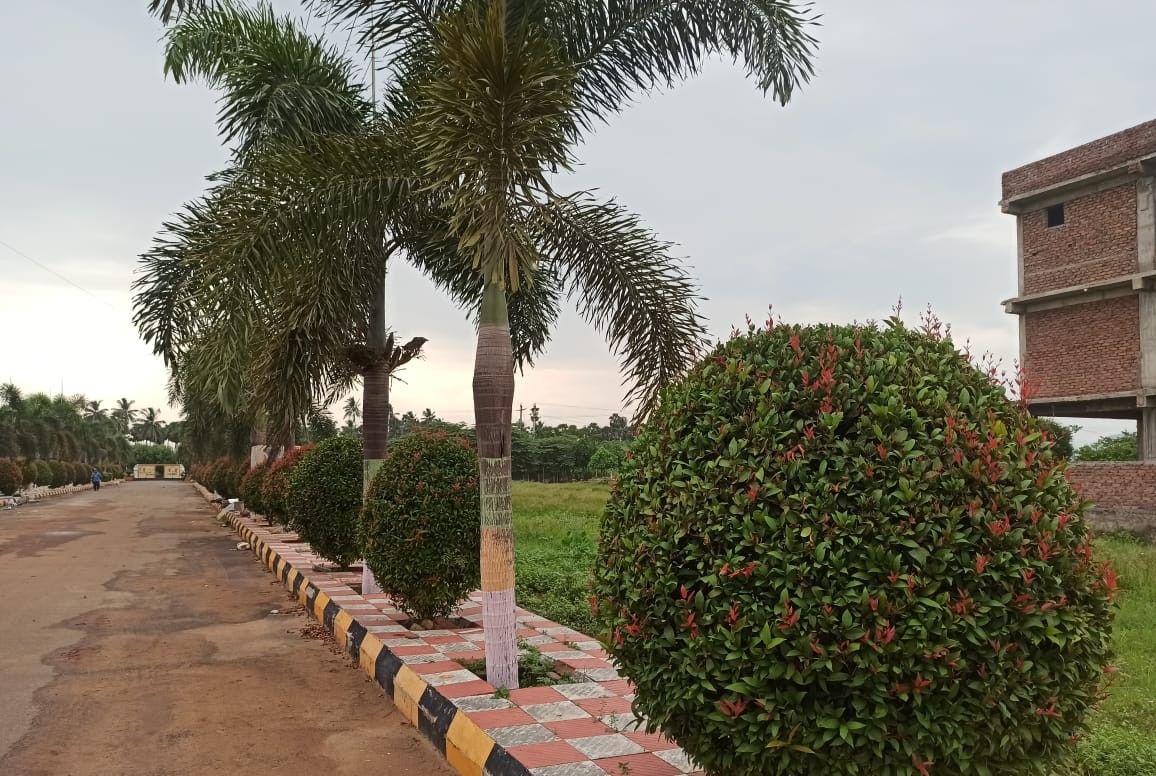 Samruddhi Enclave